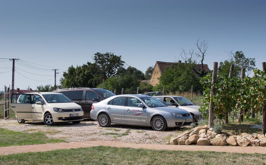 Edenkert Vendeghazak Hotel Pécsvárad Exterior foto